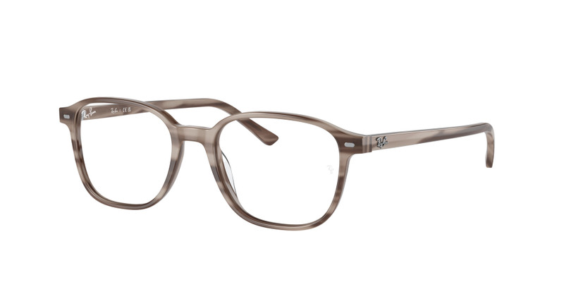 LEONARD OPTICS 3