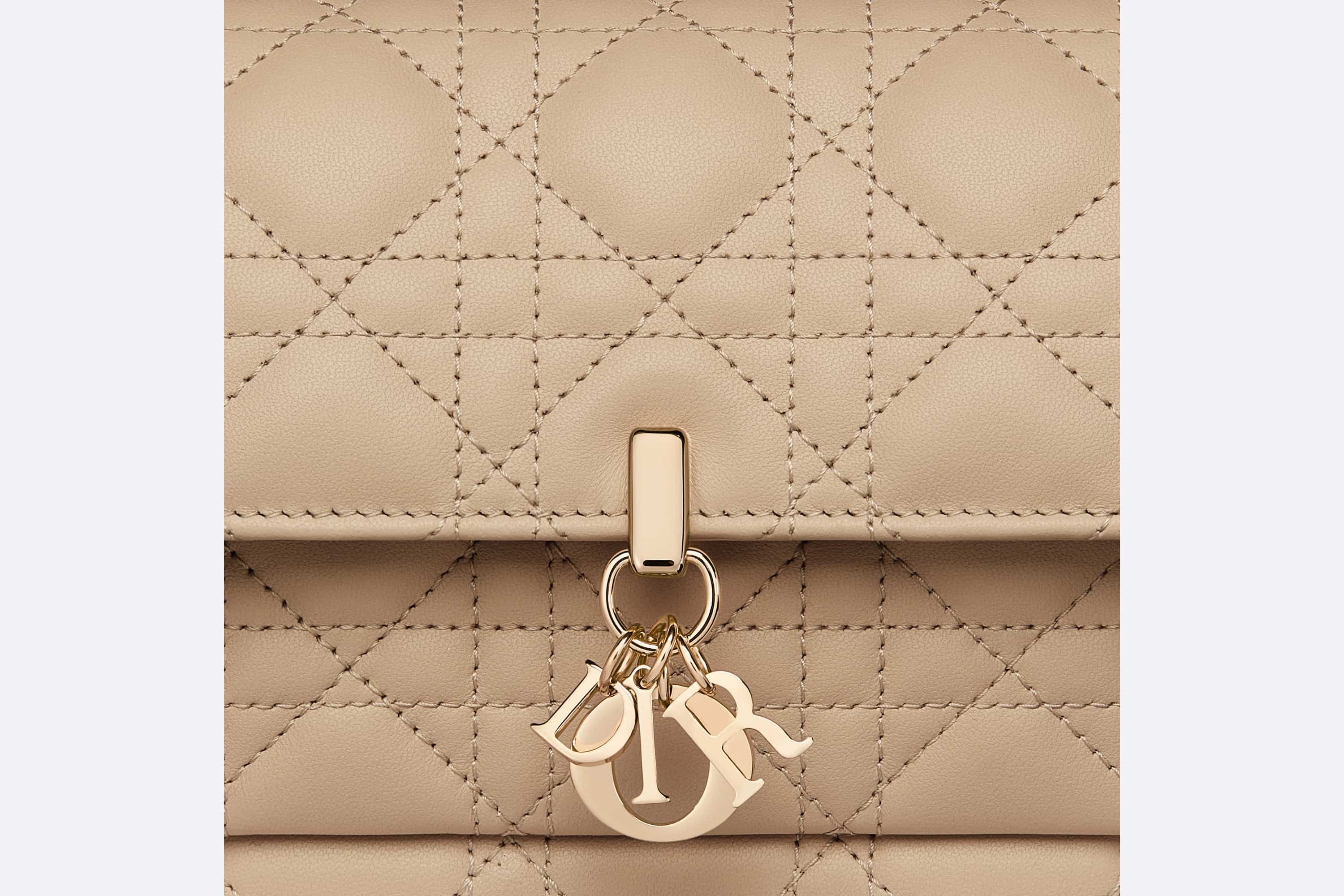 Lady Dior Chain Pouch - 5