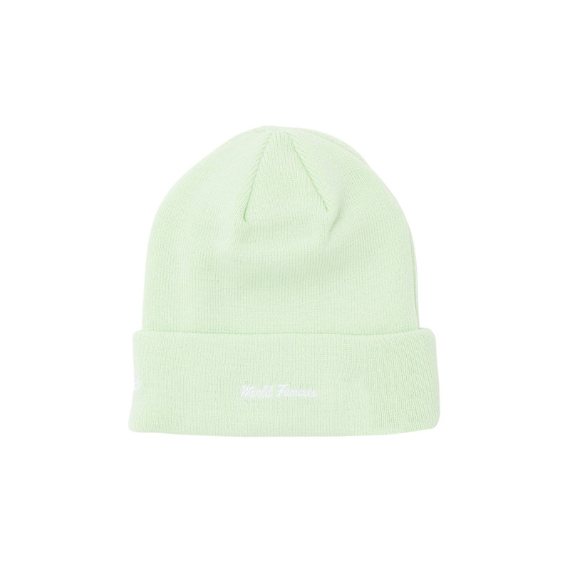 Supreme Supreme x New Era Box Logo Beanie 'Light Green' outlook