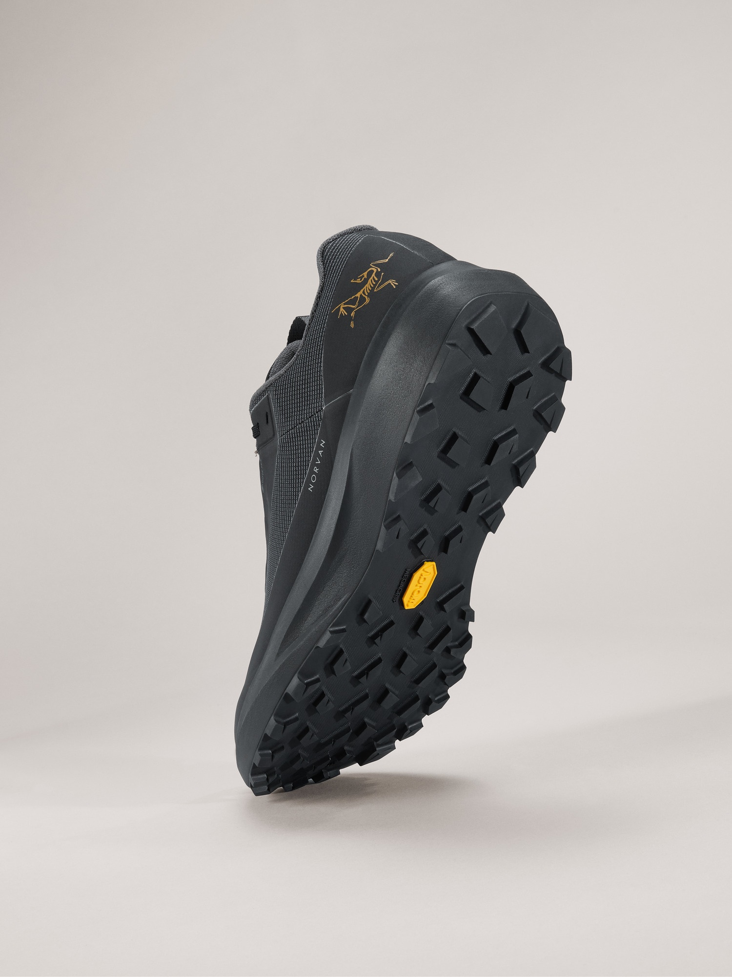 Norvan LD 4 GTX Shoe - 5