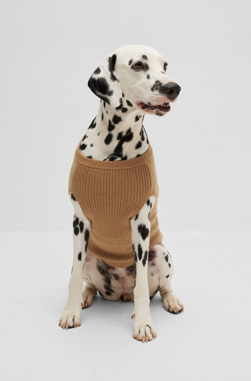 BOSS DOG SWEATER IN WOOL AND CASHMERE outlook