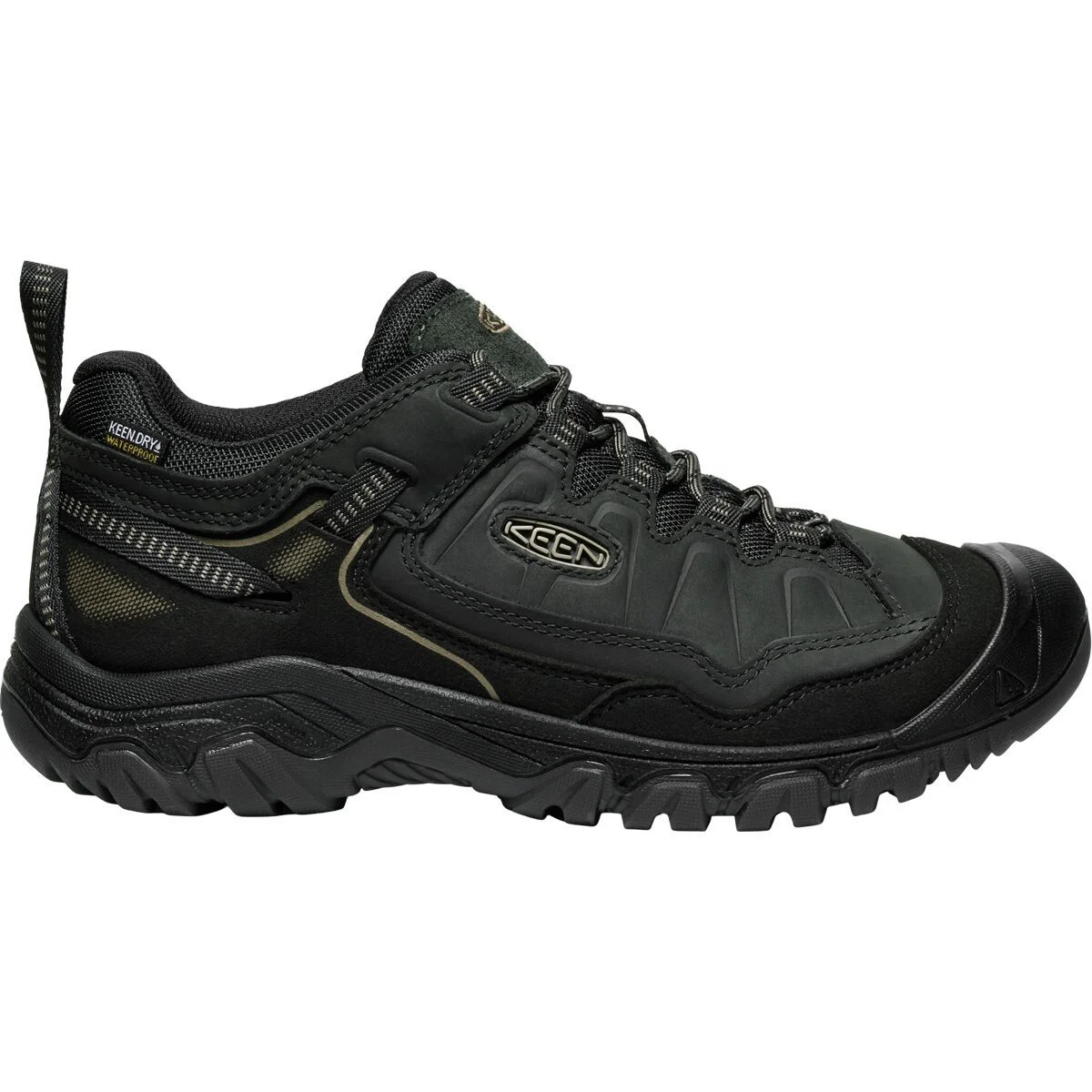 Targhee IV WP Hiking Shoe - 1