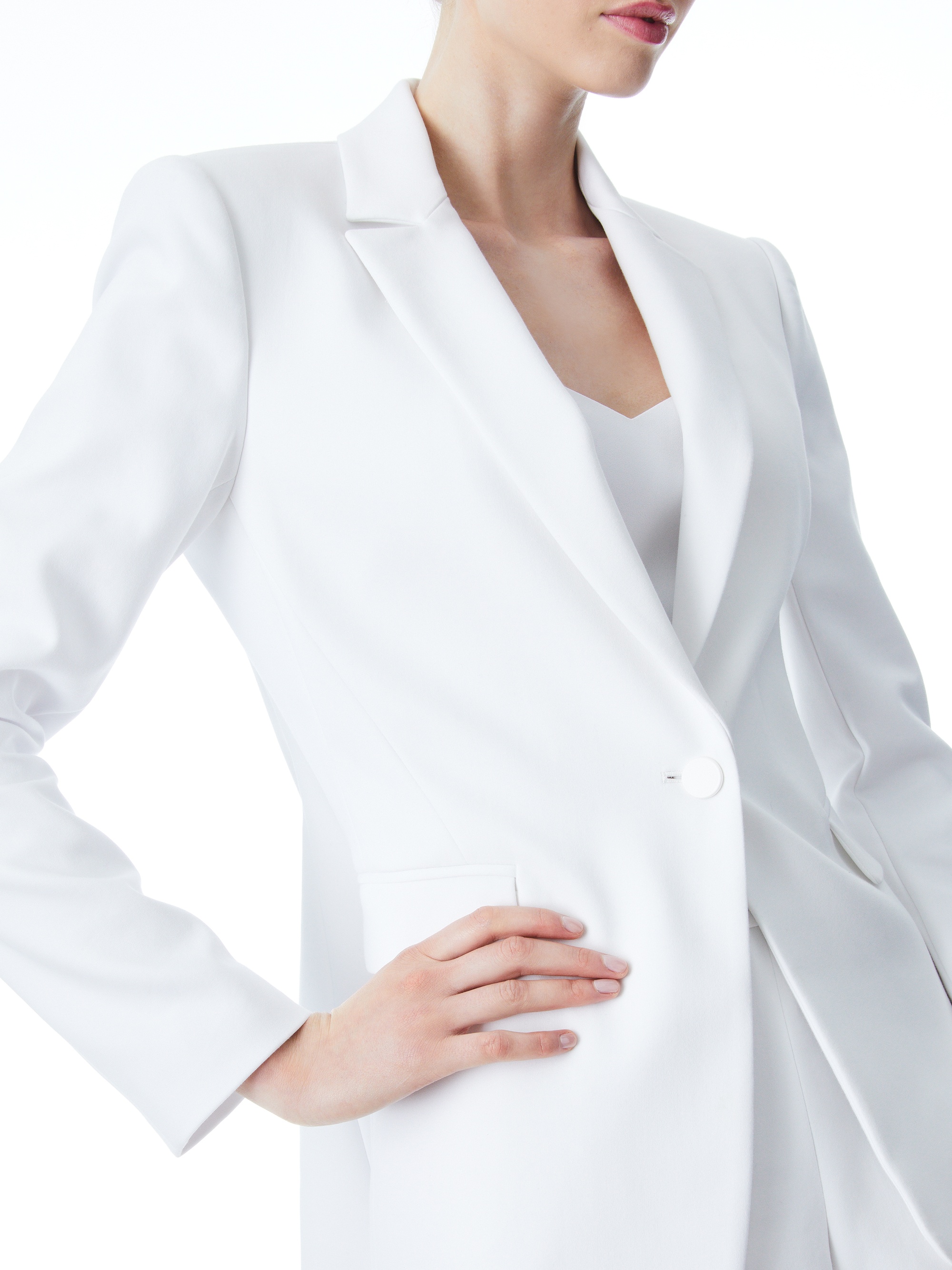 MACEY FITTED NOTCH COLLAR BLAZER + DONALD HIGH WAIST SHORT - 4