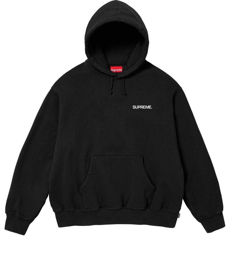 Supreme SS24 WEEK8 IMMORTAL HOODED SWEATSHIRT SUP-SS24-134 - 1