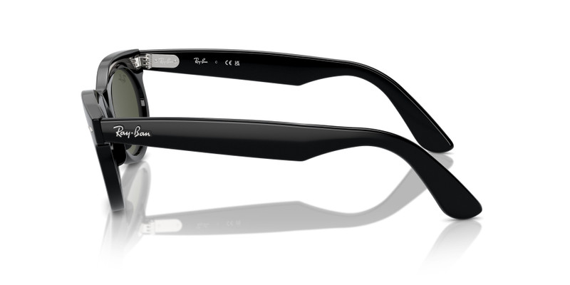 WAYFARER OVAL 5