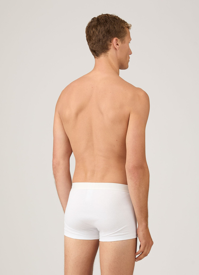 Sunspel Sea Island Cotton Trunks outlook