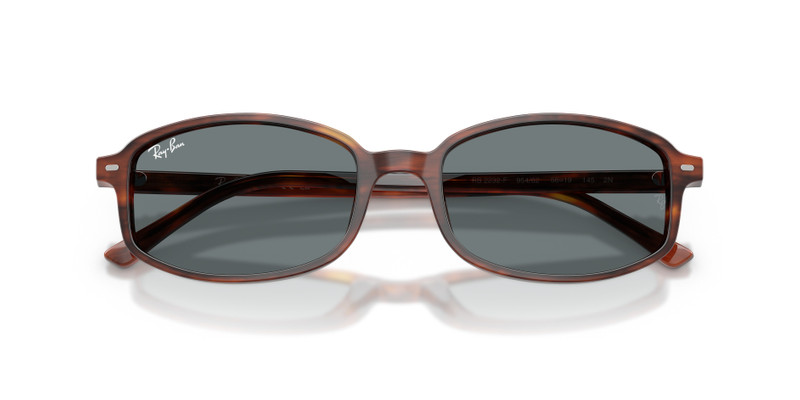 Ray-Ban SAM outlook