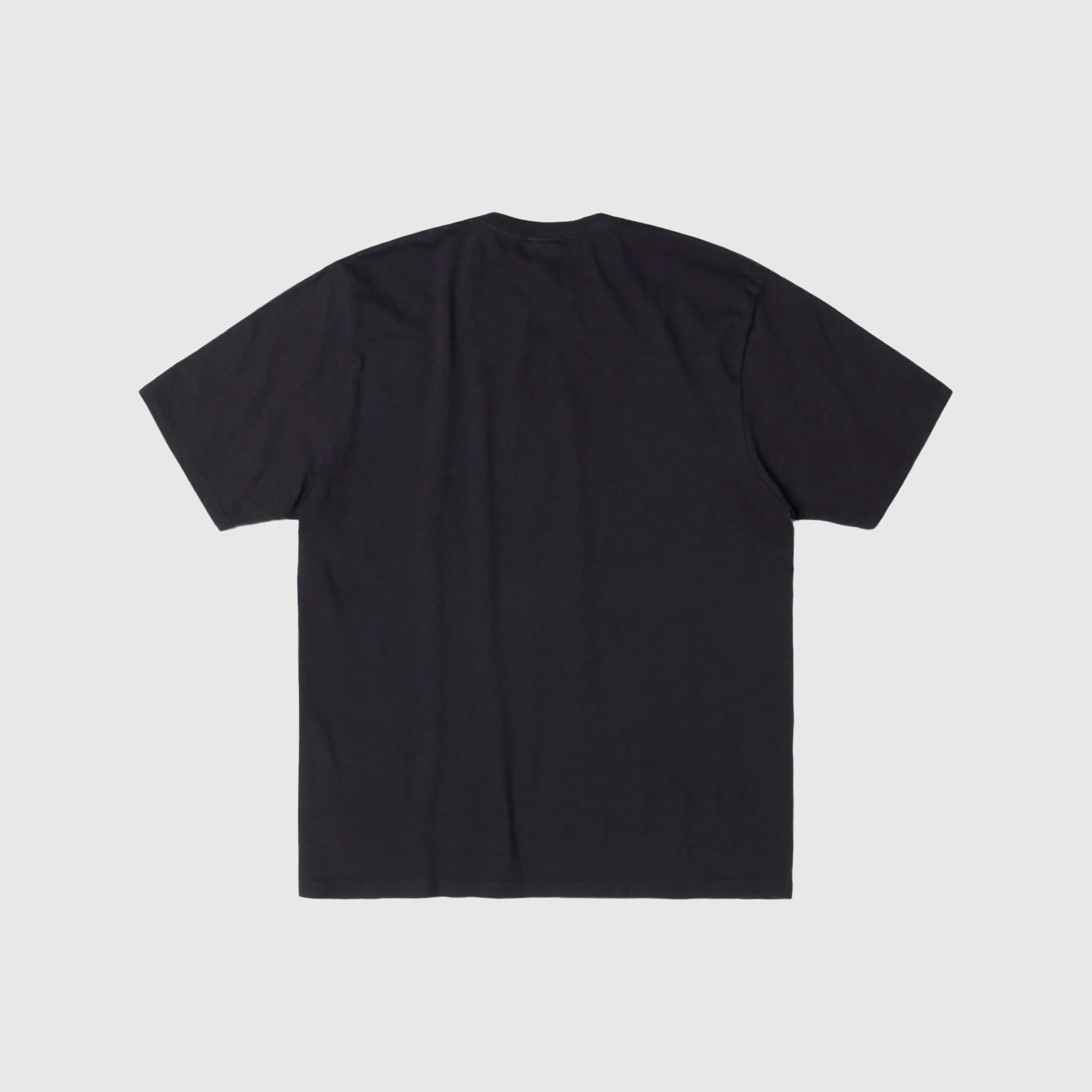 AUTHENTIC GEAR PIG. DYED S/S T-SHIRT - 2
