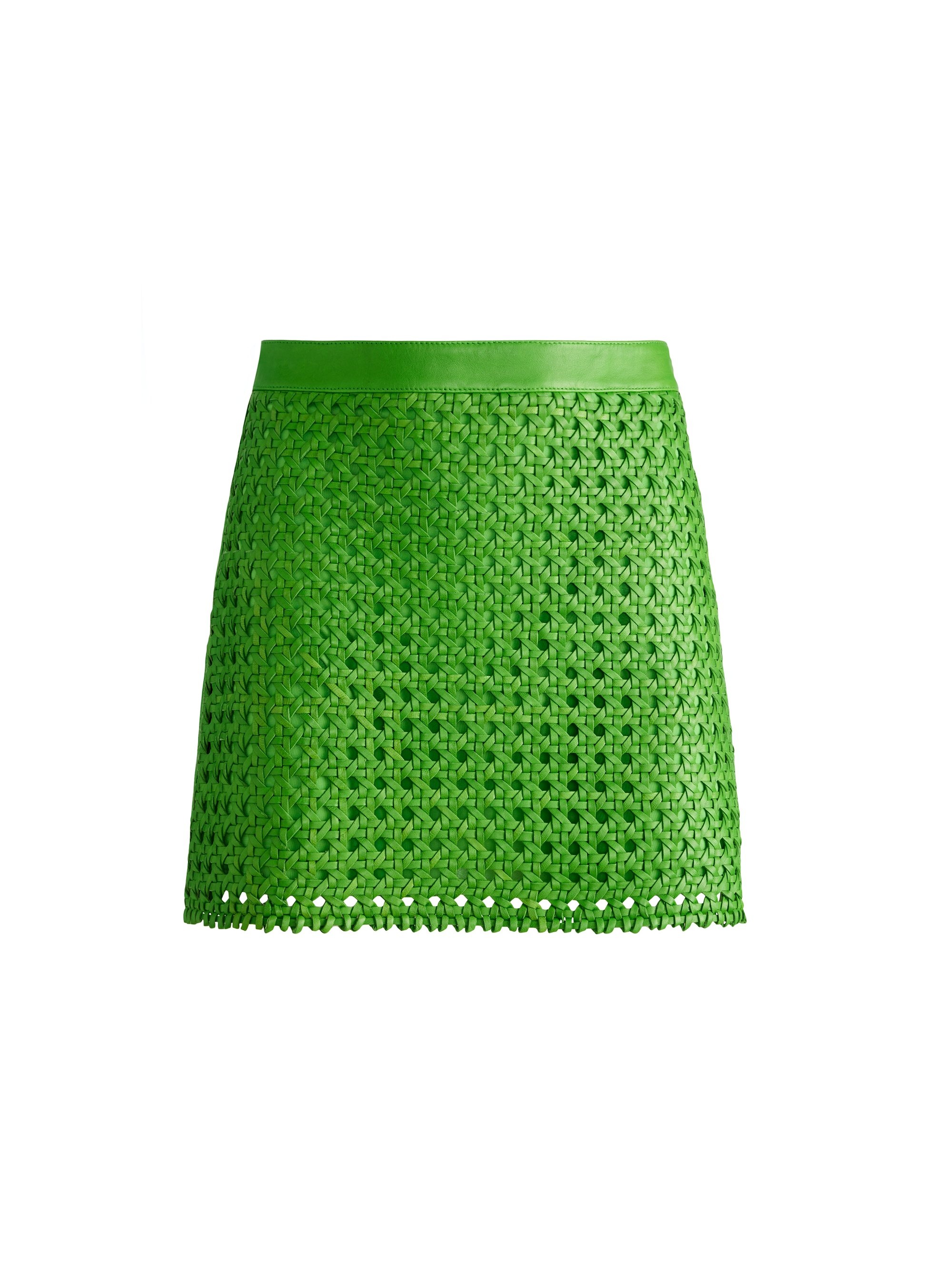 RILEY A-LINE LEATHER MINI SKIRT - 1