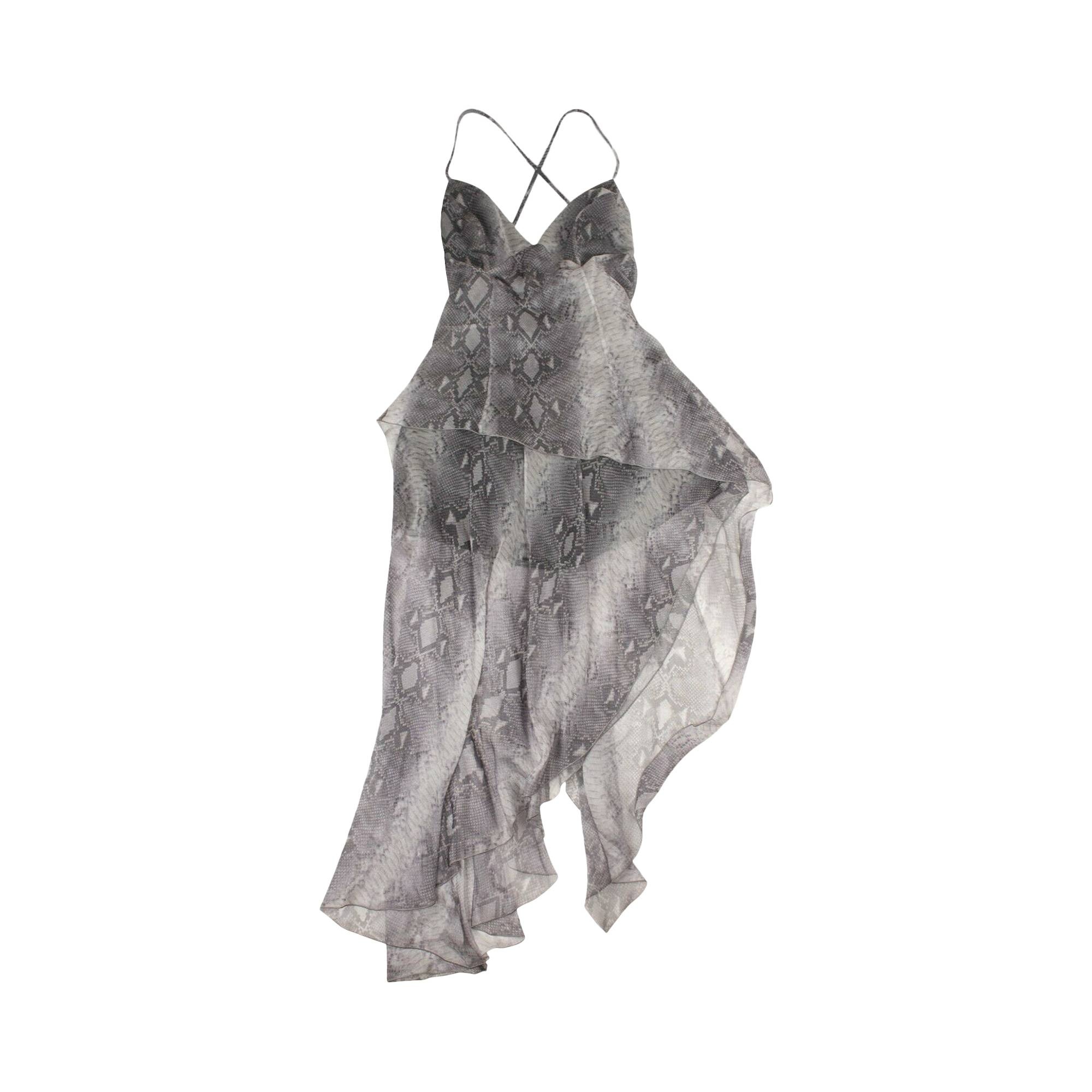 Amiri Silk Snake Print Long Dress 'Grey' - 1