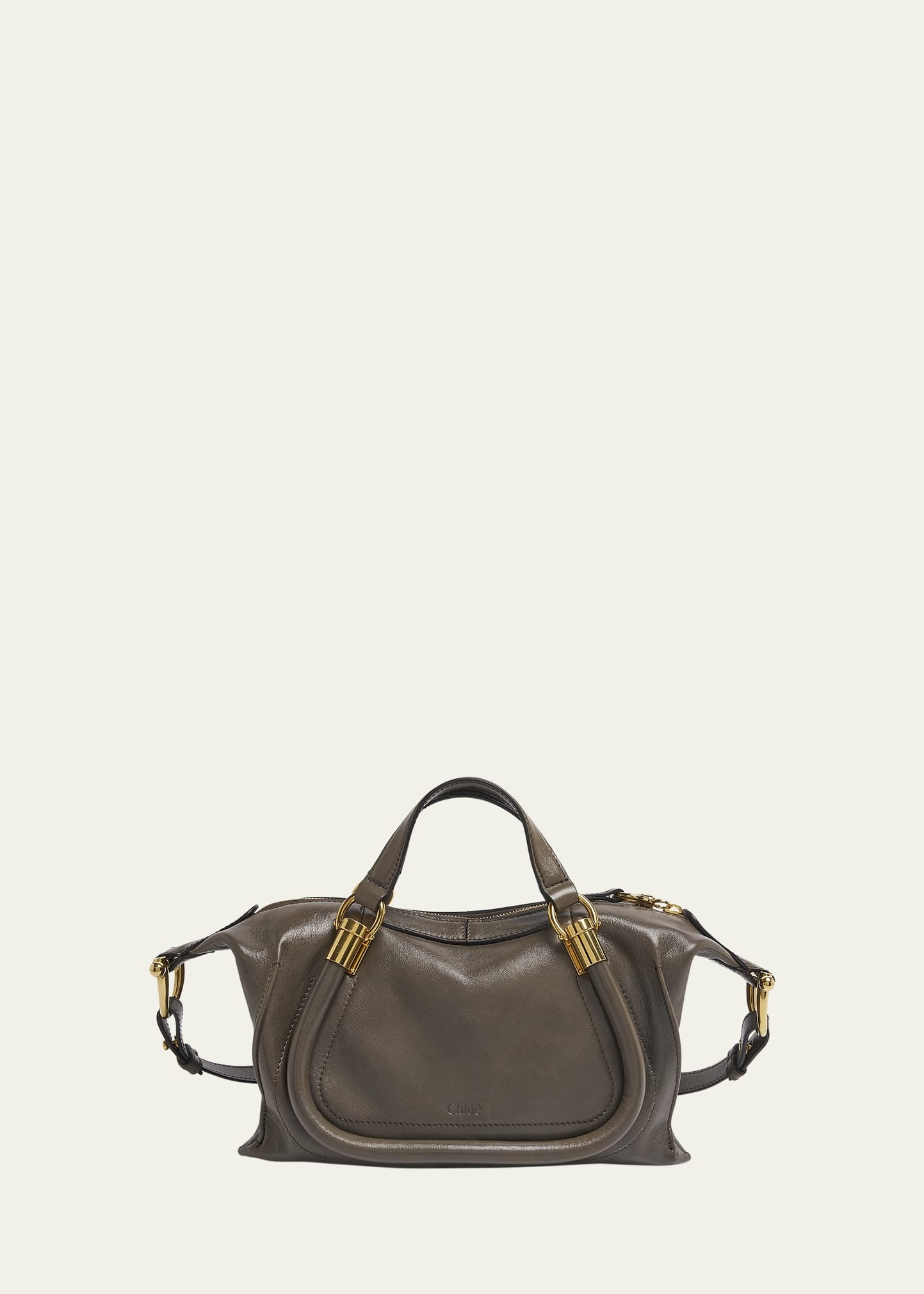 Paraty 24 Medium Bag in Shiny Calfskin - 1