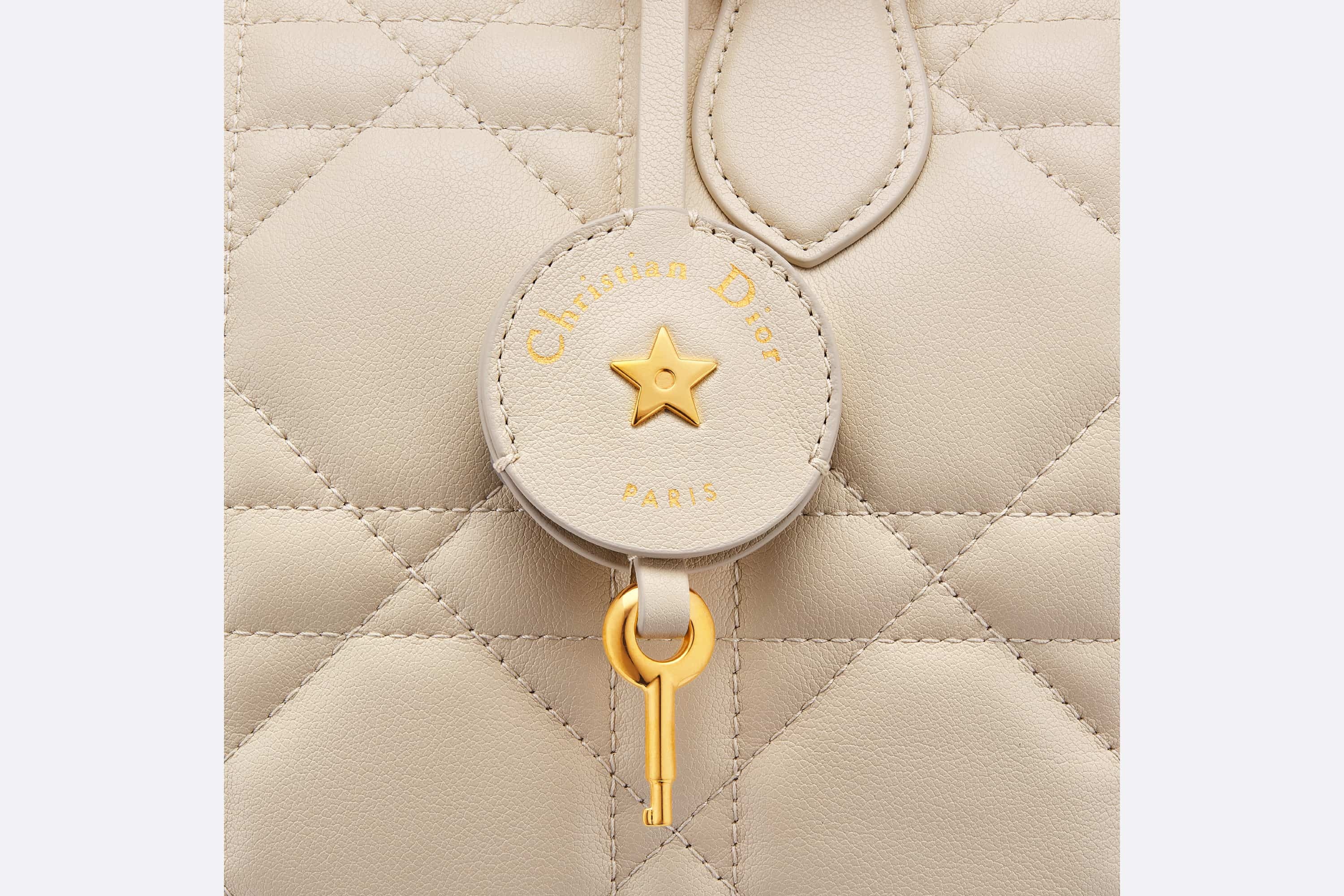Dior Groove 25 Bag - 6