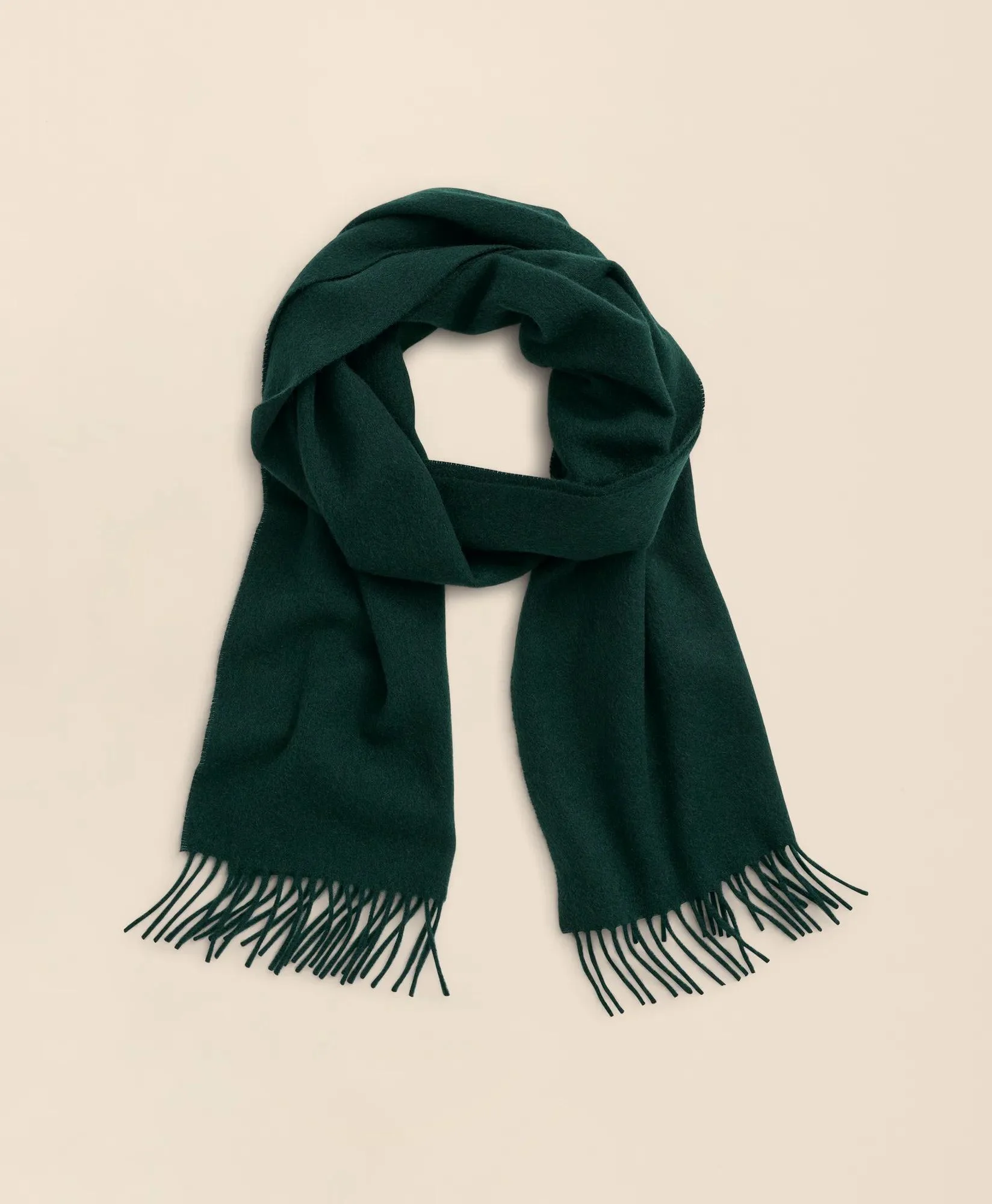 Cashmere Fringed Scarf - 1