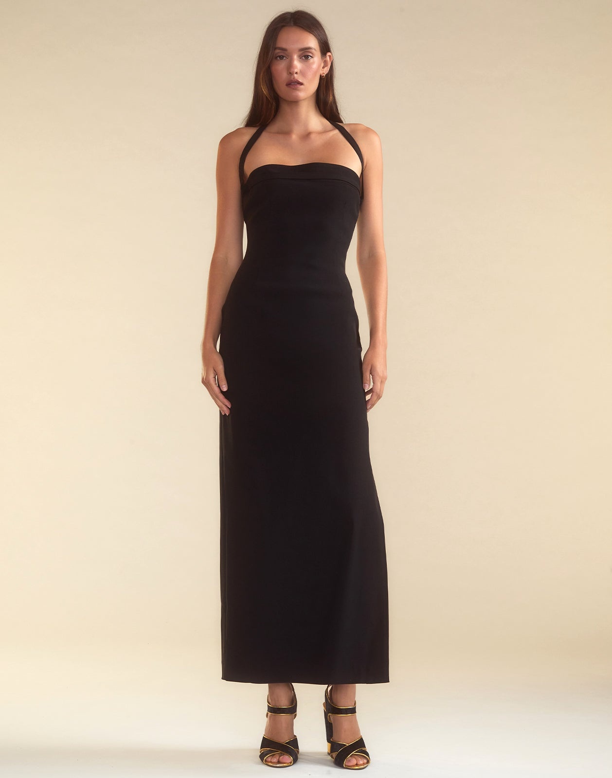 Formal Fitting Dress - 4