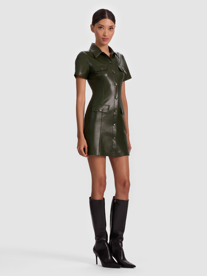 JAMIE VEGAN MINI DRESS 6