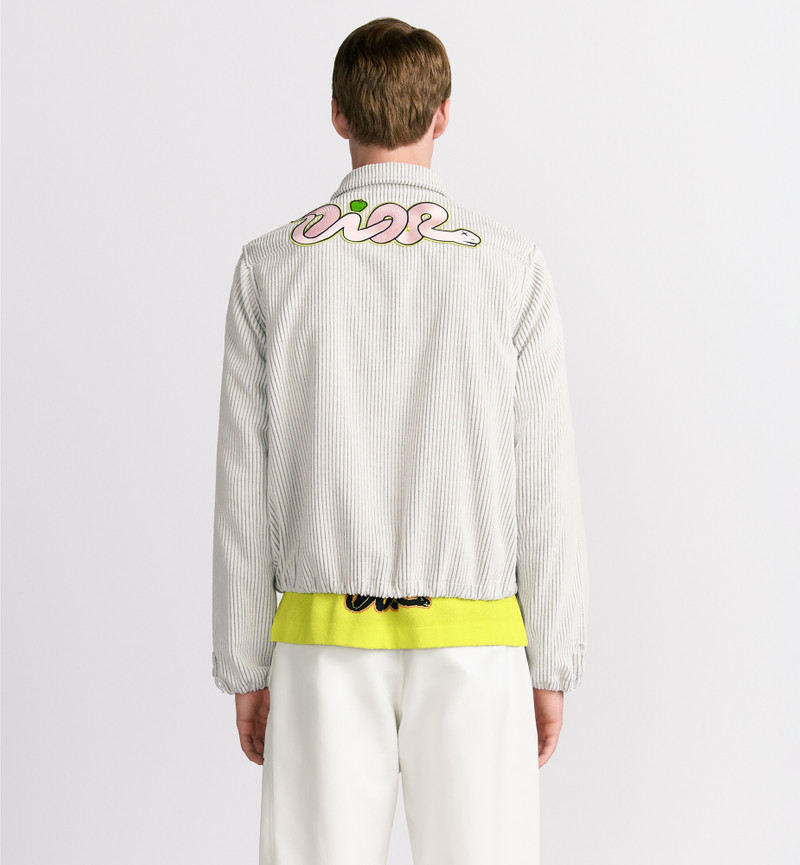 DIOR AND KAWS Zipped Blouson Jacket 4