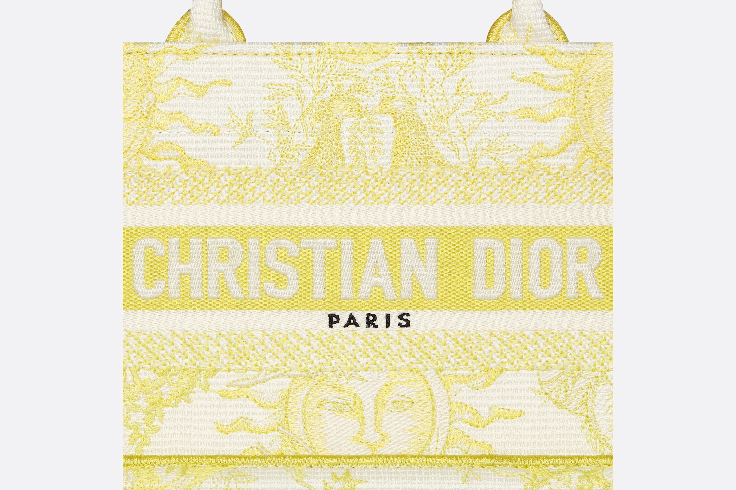 Dioriviera East-West Dior Book Tote - 5