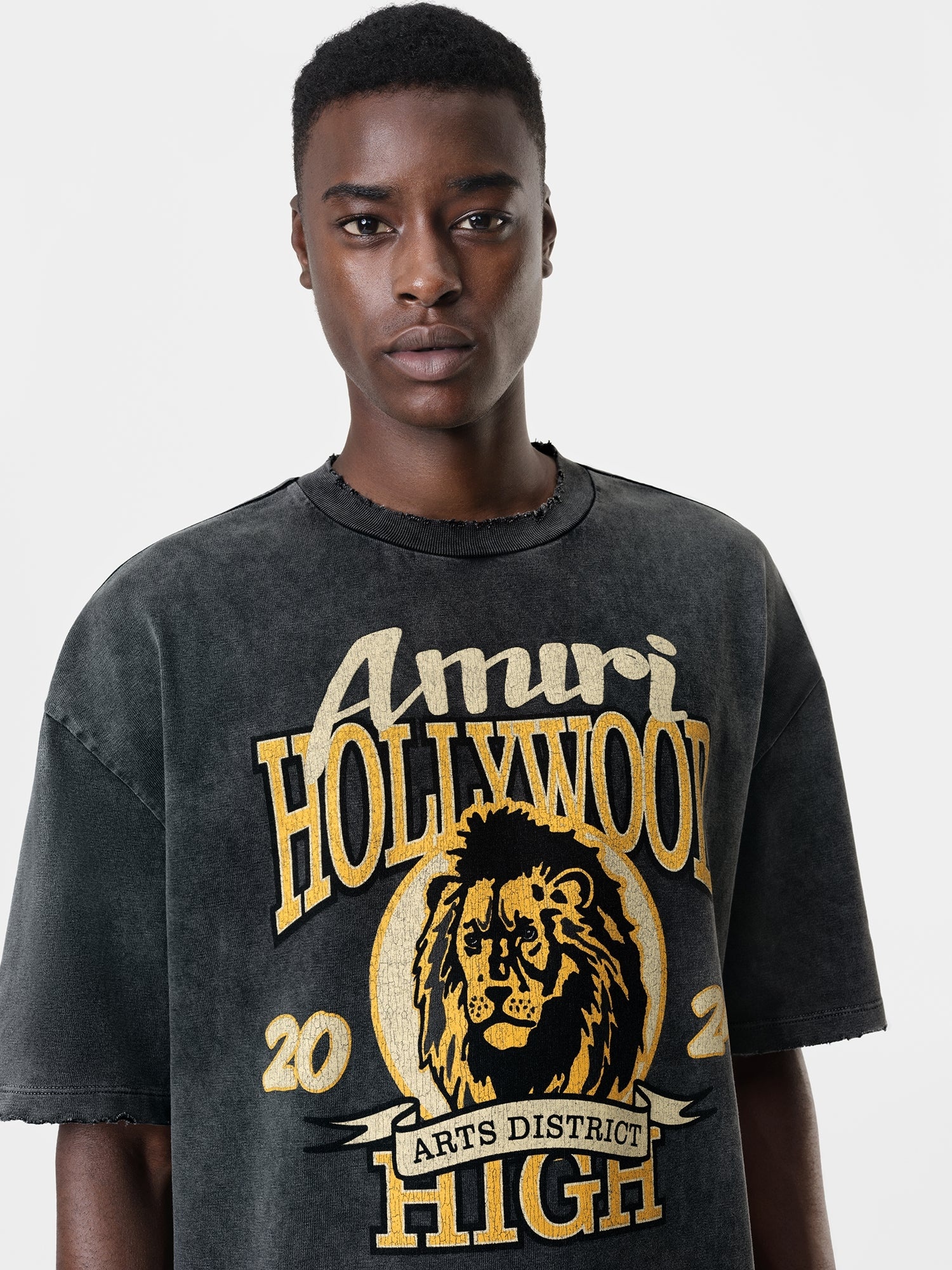 ☆送料関税込☆AMIRI☆High Lion Skater Tシャツ AMIRI AMIRI HIGH LION SKATER TEE | REVERSIBLE