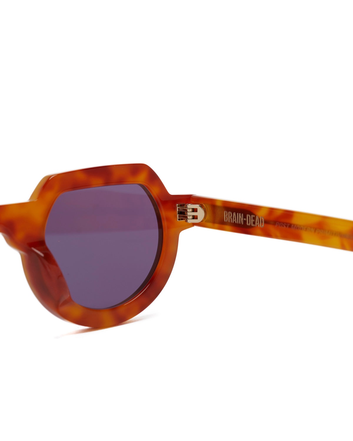 Tani Post Modern Primitive Eye Protection - Honey Tortoise - 3
