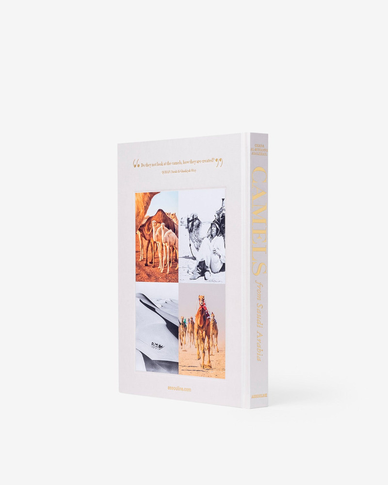 ASSOULINE Camels from Saudi Arabia (Classic) outlook