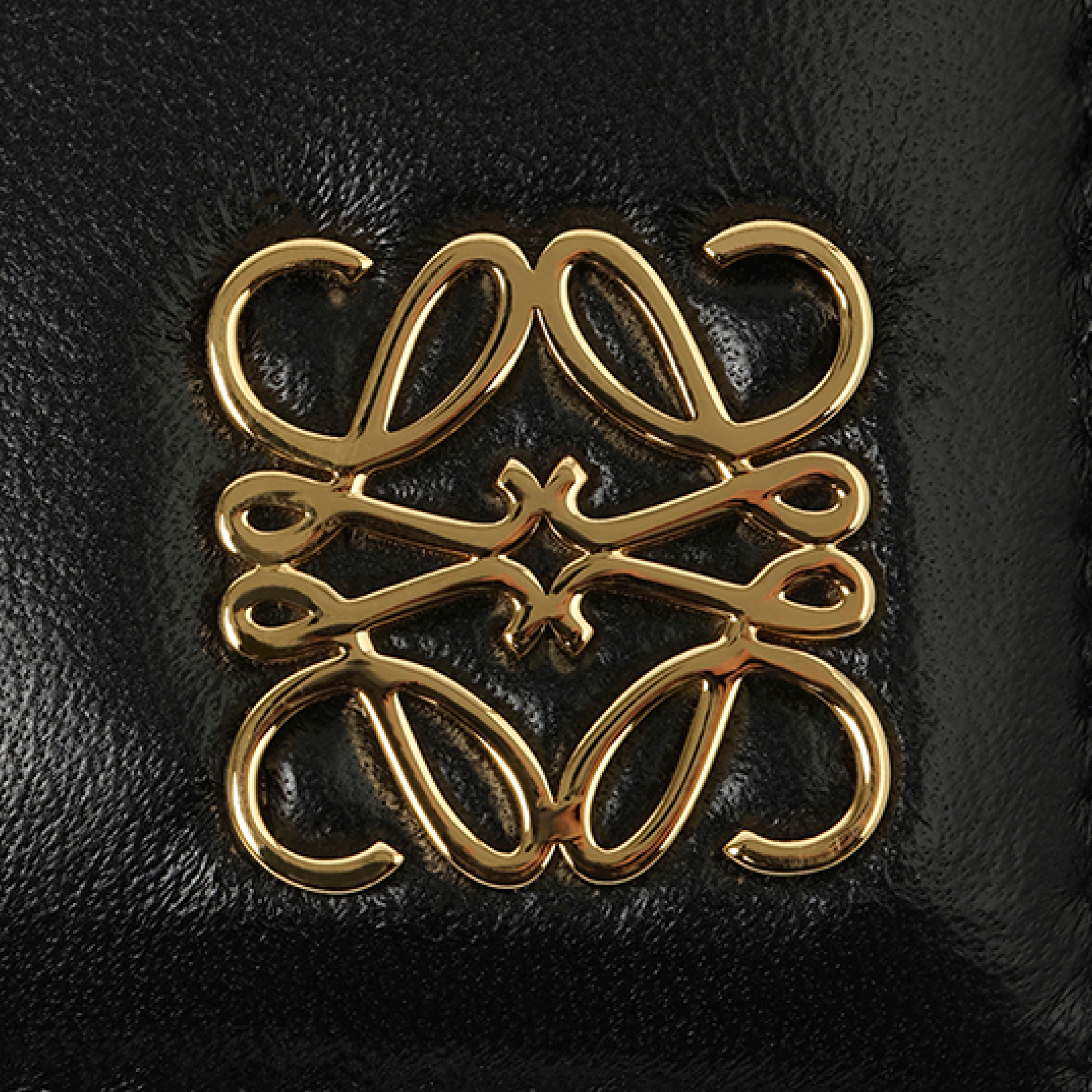Anagram Puffer Plain Card Holder in Black - 3