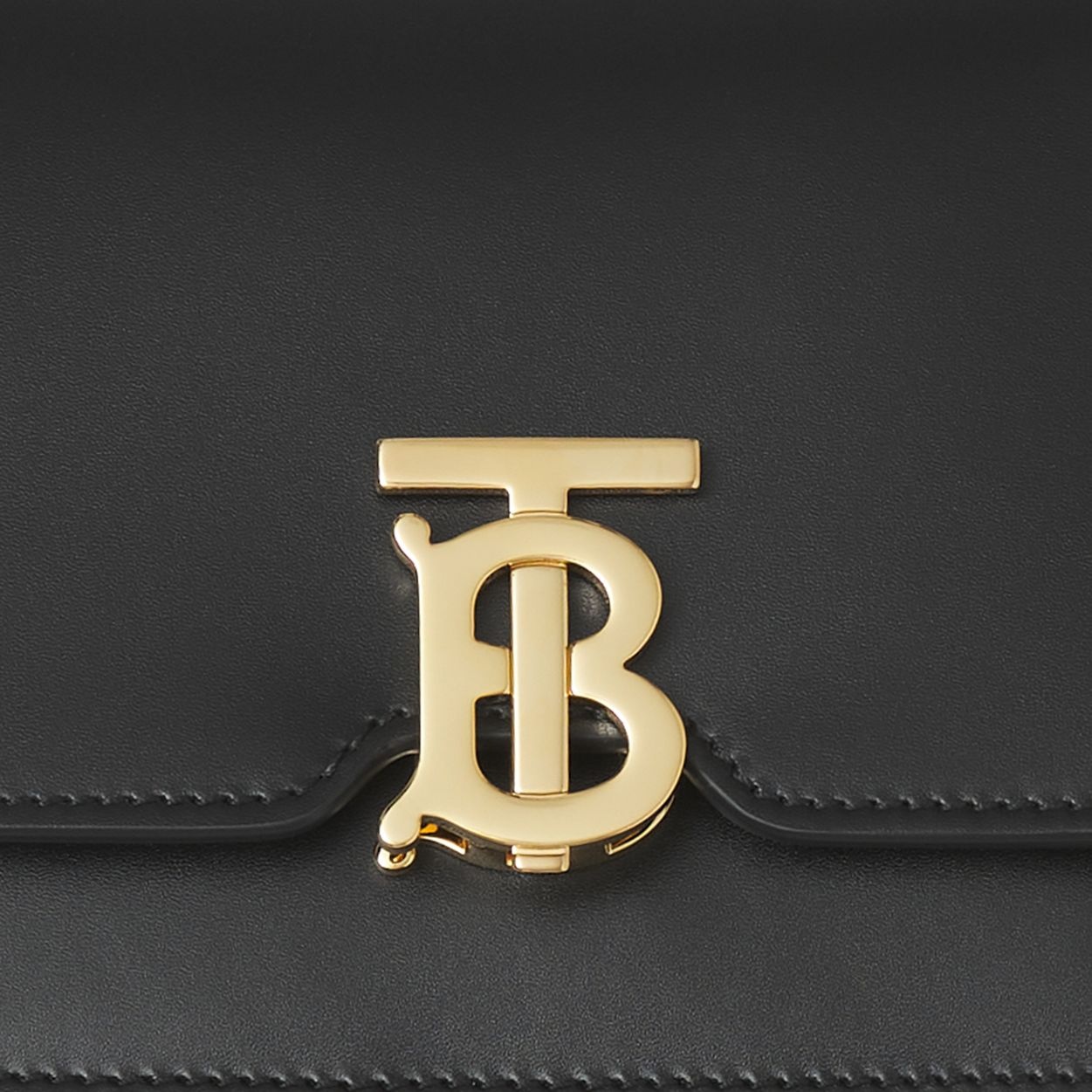 Mini Leather TB Bag 2
