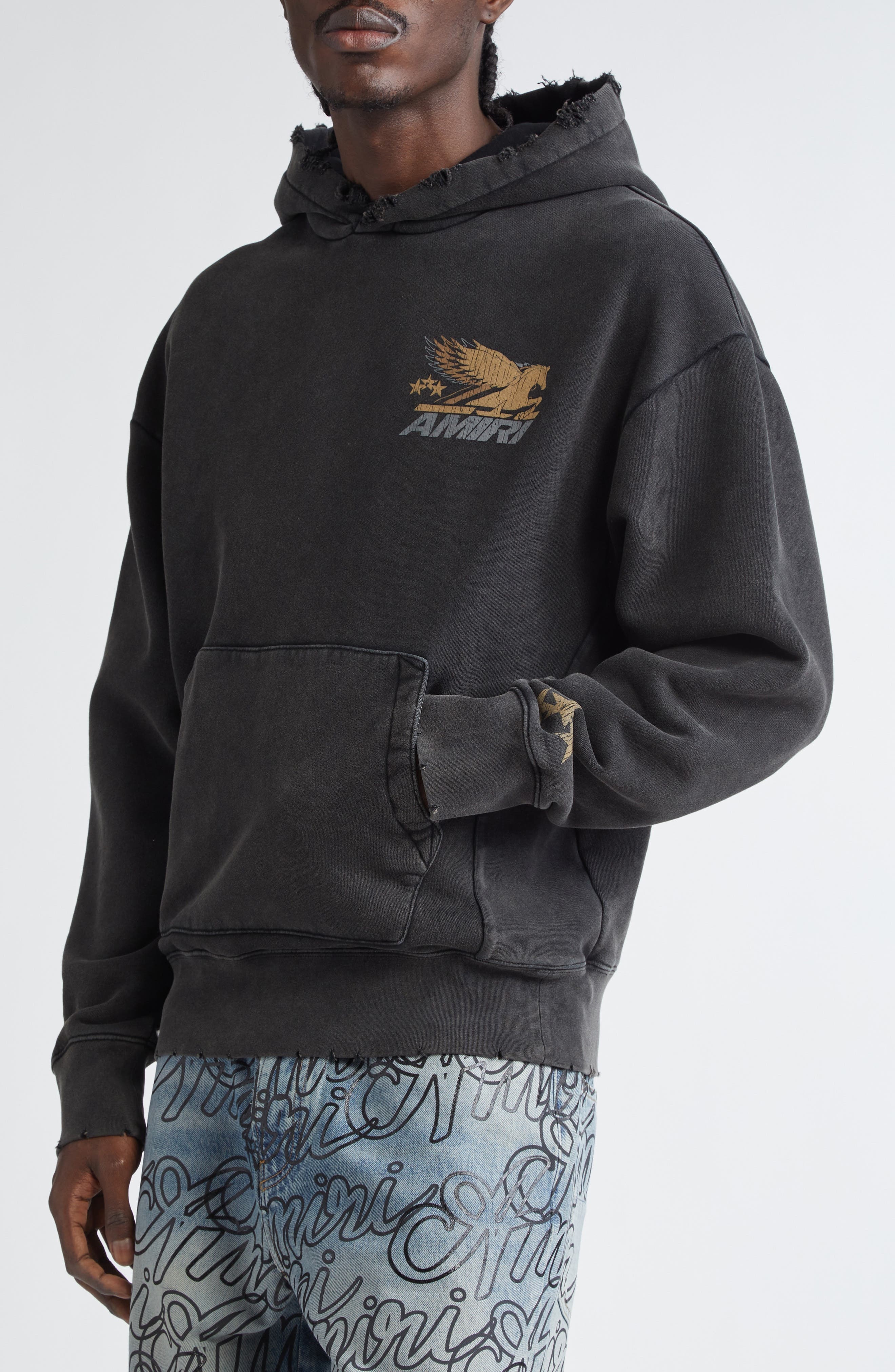 AMIRI Pegasus Distressed Cotton Graphic Hoodie in Black at Nordstrom - 4