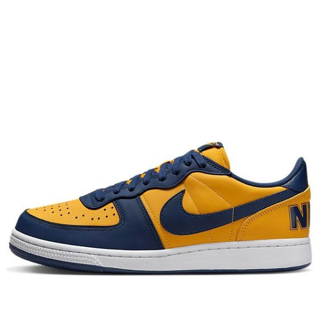 Nike Terminator Low 'Michigan' FJ4206-700 - 1