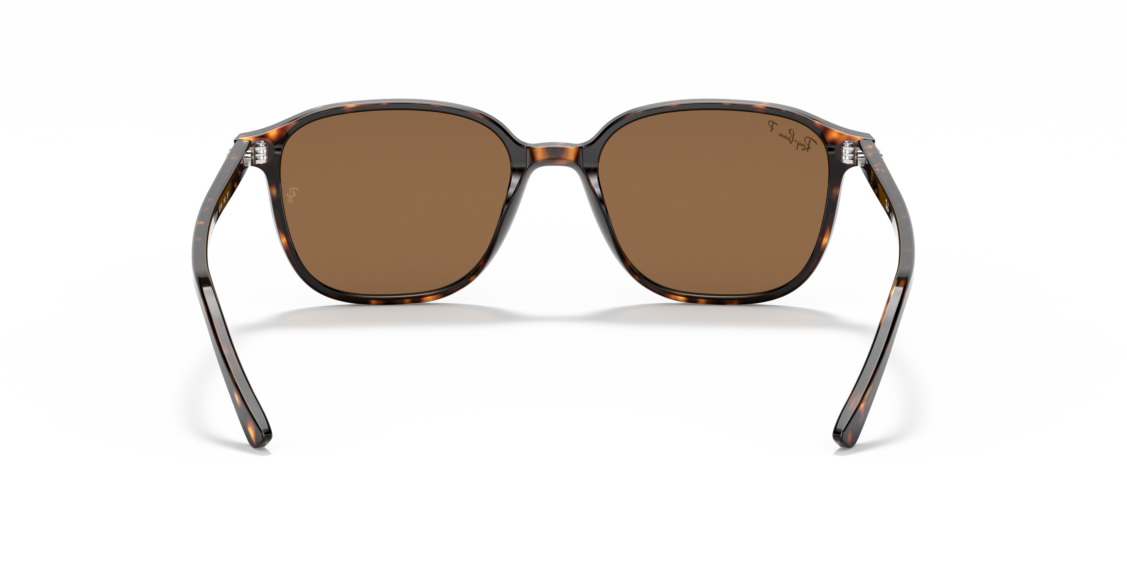 RB2193 Leonard - 4