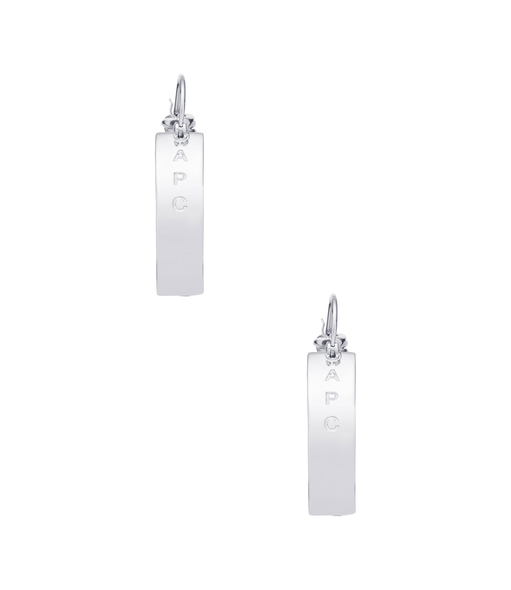 Darwin earrings - 2