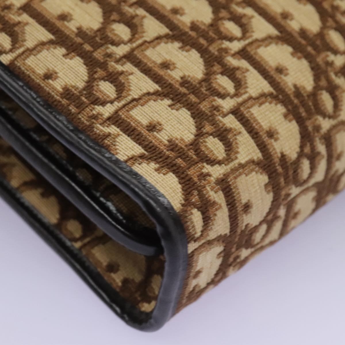 DIOR Trotter Canvas Hand Bag Brown - 11