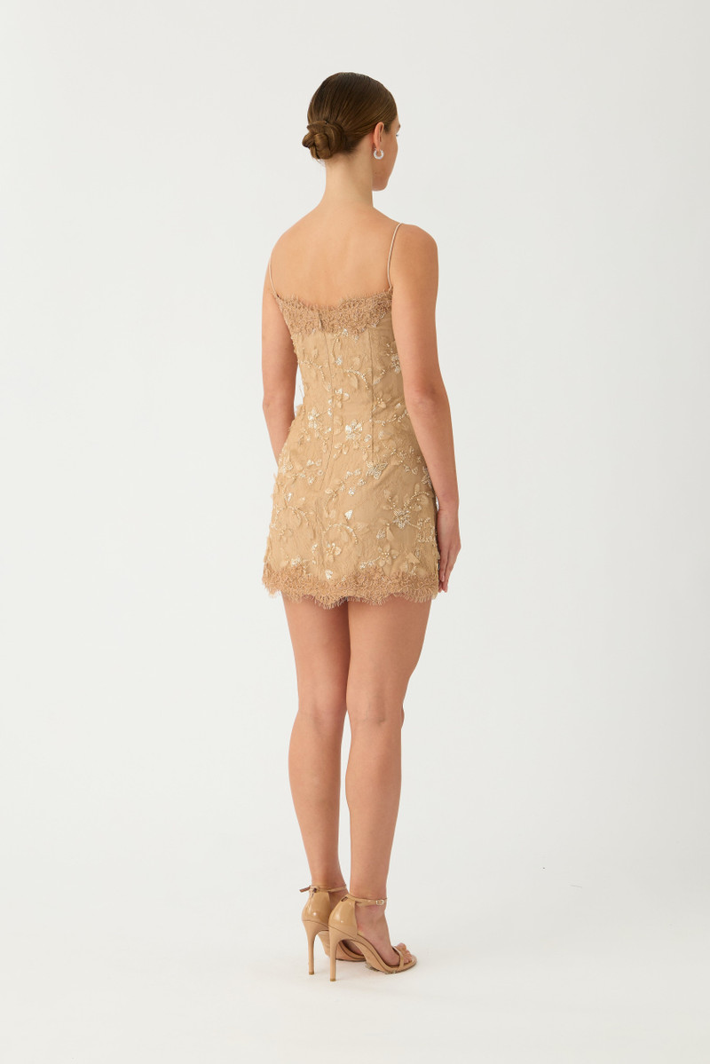 ROMY LACE MINI DRESS 4