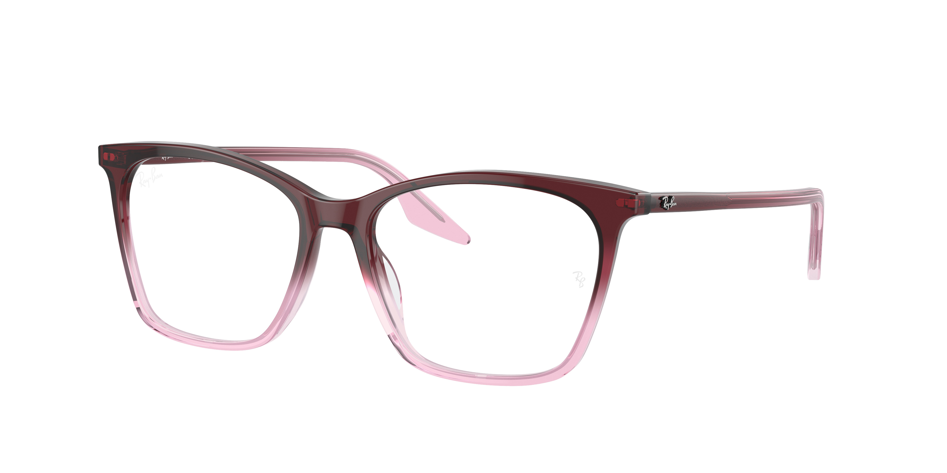 RB5422 OPTICS - 3