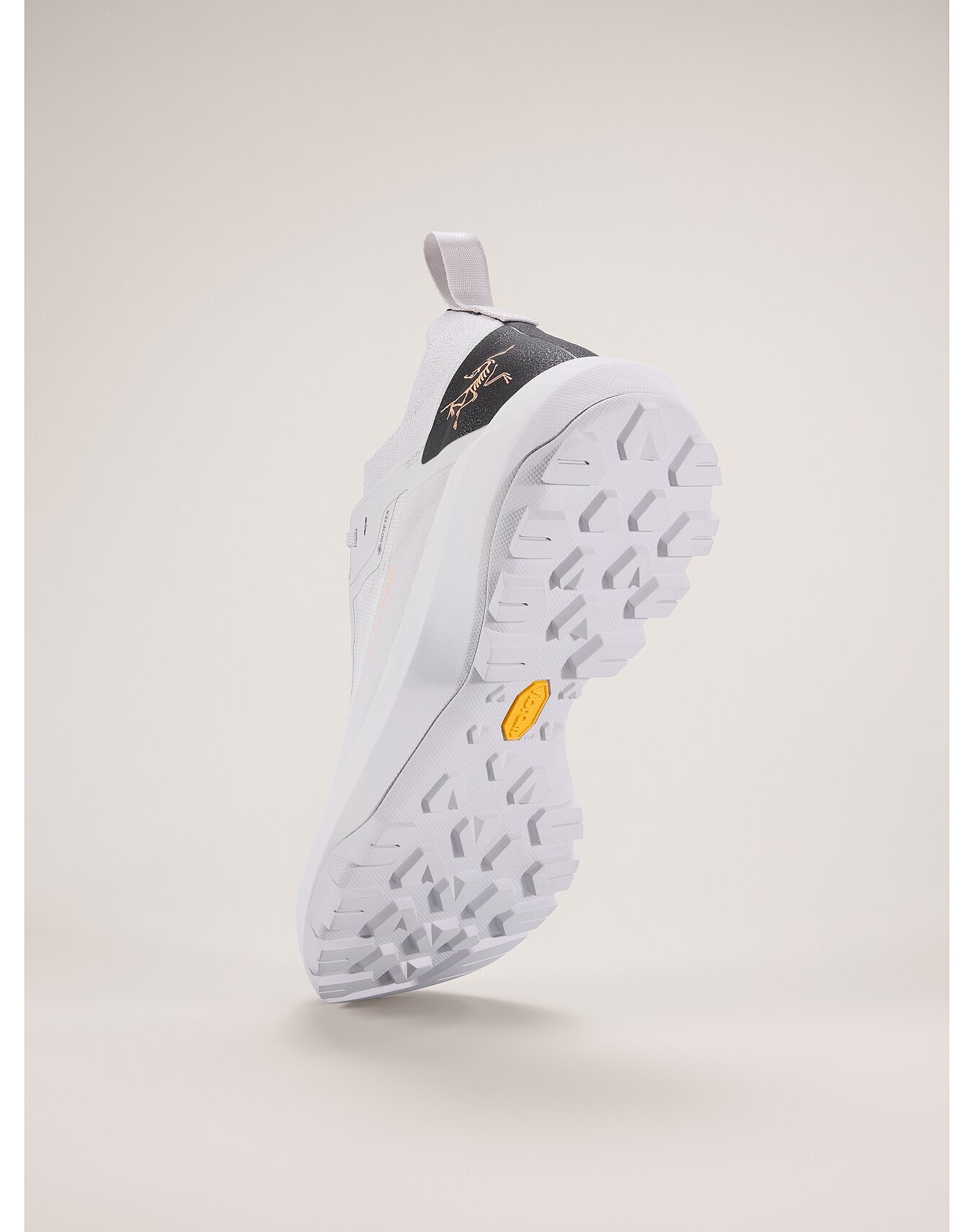 Vertex Alpine GTX Shoe - 4