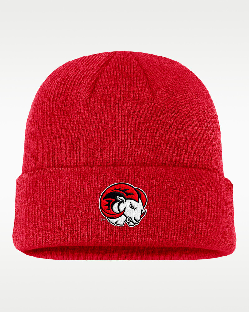 Nike College Terra (Winston-Salem State University) Beanie 1