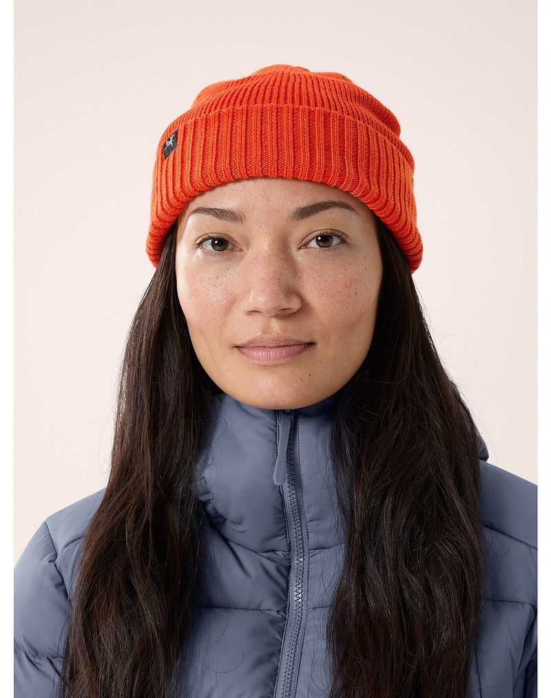 Arc'teryx Mallow Toque outlook