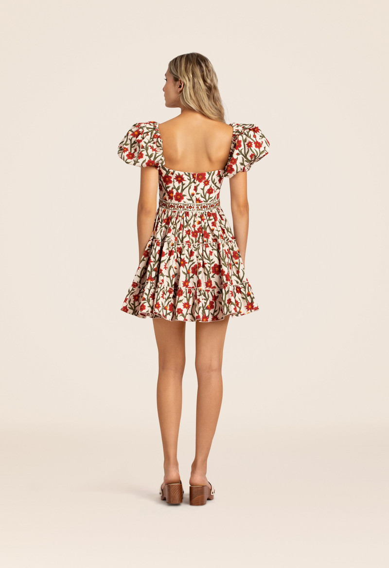 Manzanilla Mandevilla Mini Dress 4