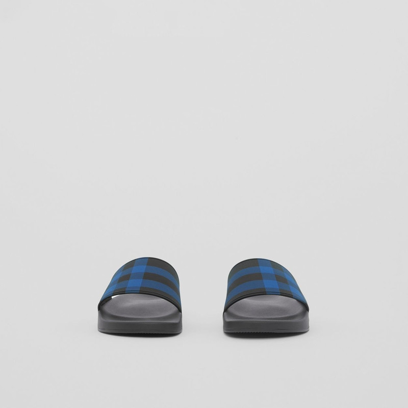 Check Print Slides 4