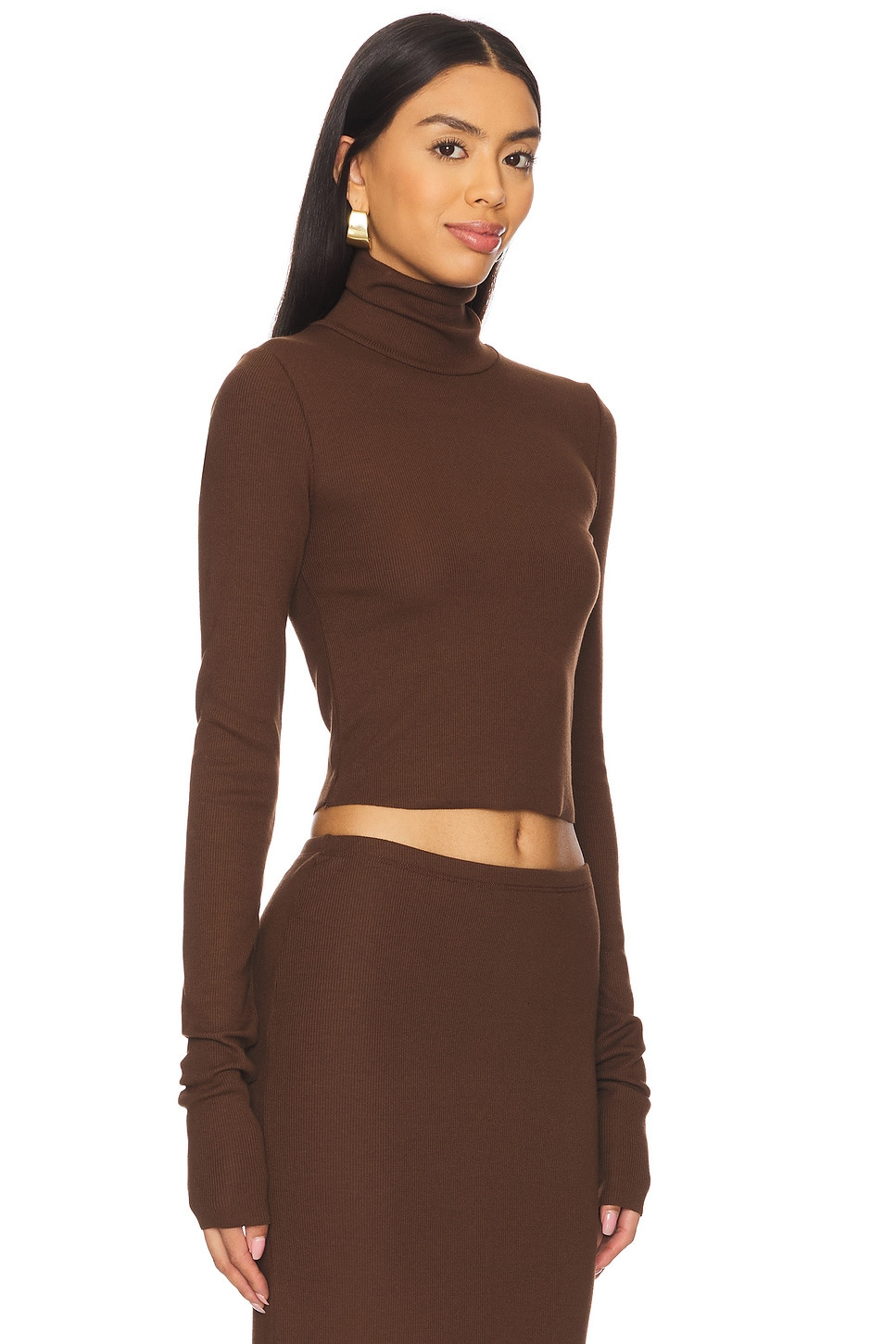Cropped Fitted Turtleneck Top - 2