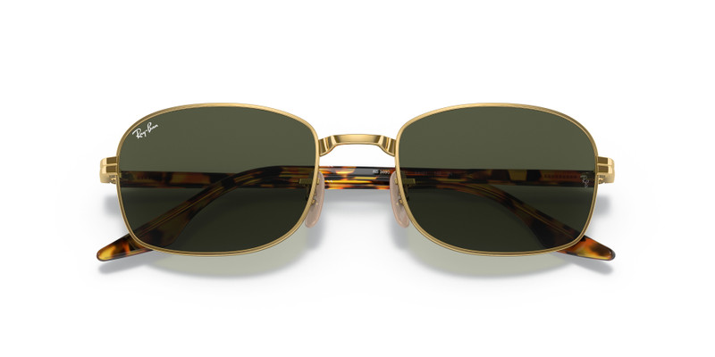 Ray-Ban RB3690 outlook