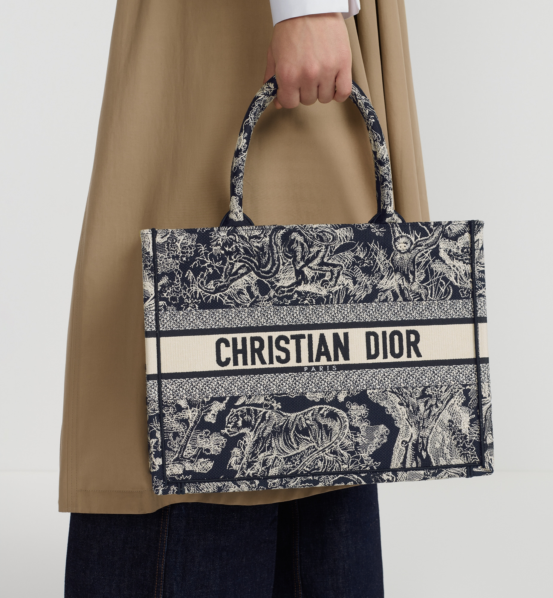 Medium Dior Book Tote - 2