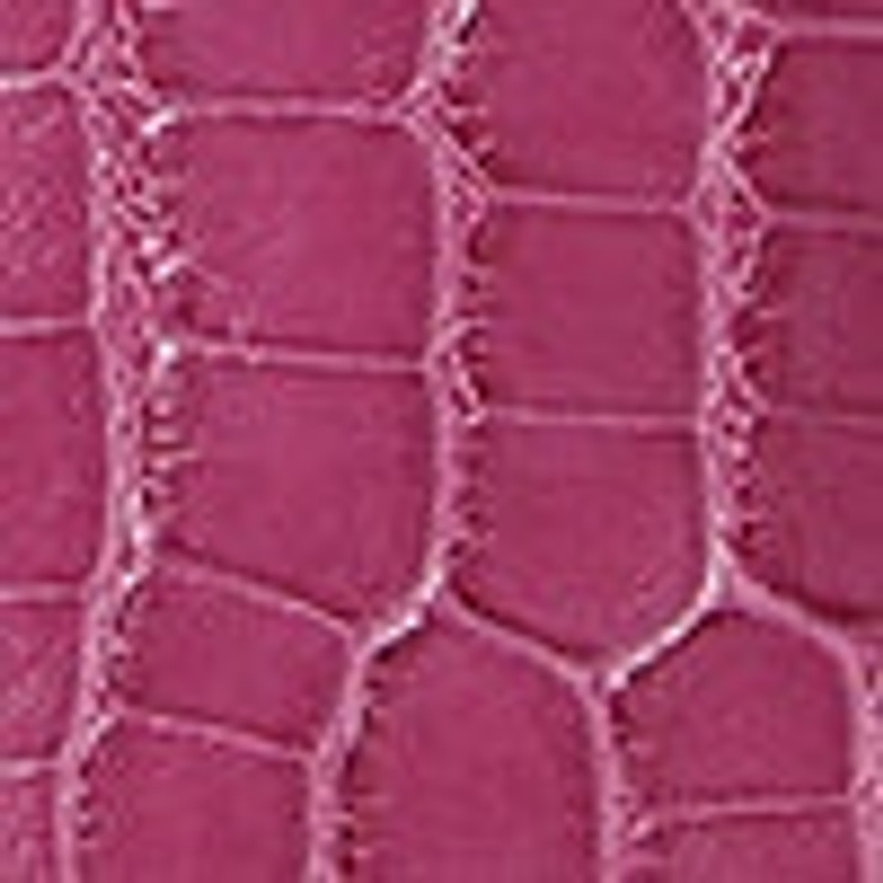 Sunglasses Case in Alligator 3