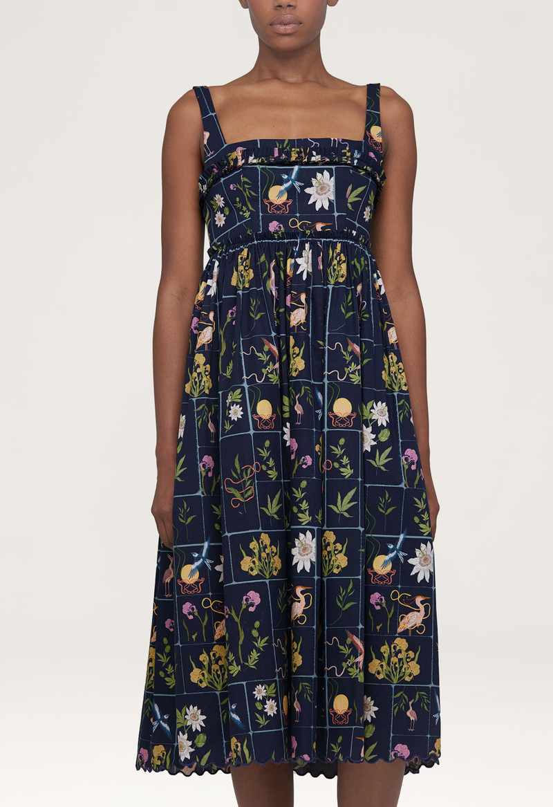 Barbara Paraiso Midi Dress 5