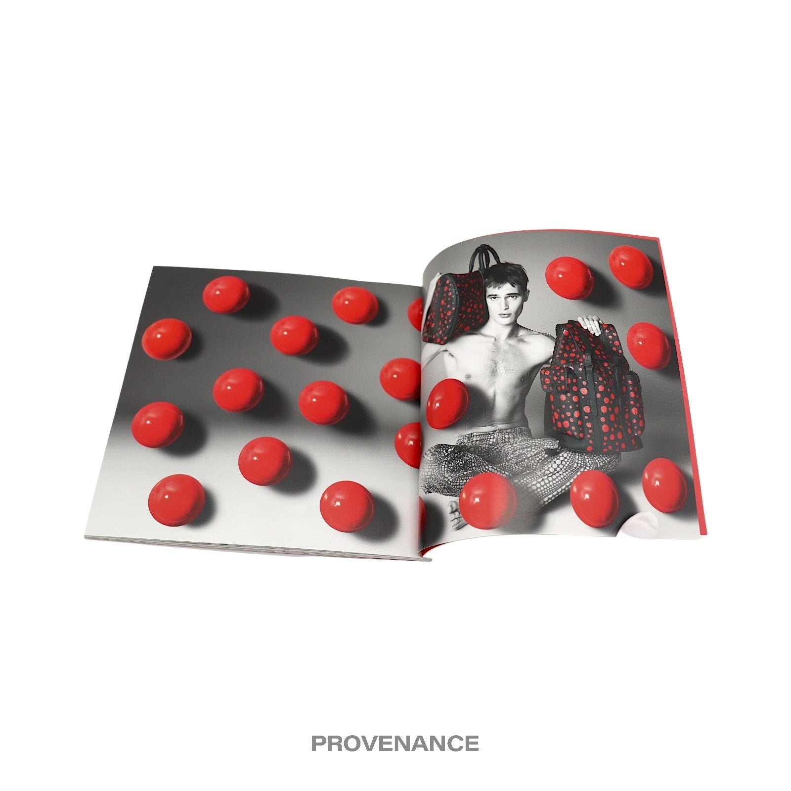 Louis Vuitton X Yayoi Kusama Catalog Book - 5