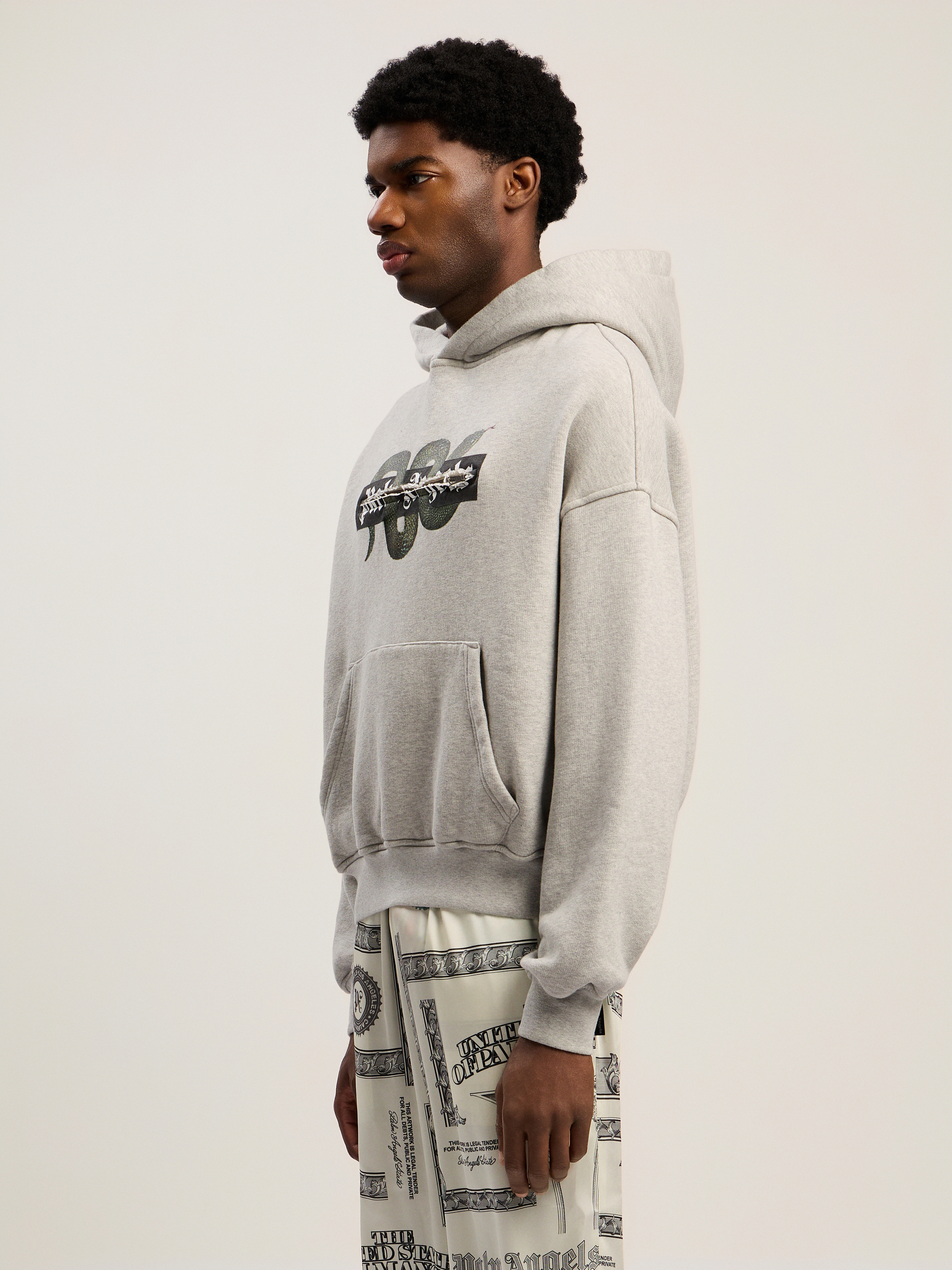 Snake Graphic Hoodie - 4