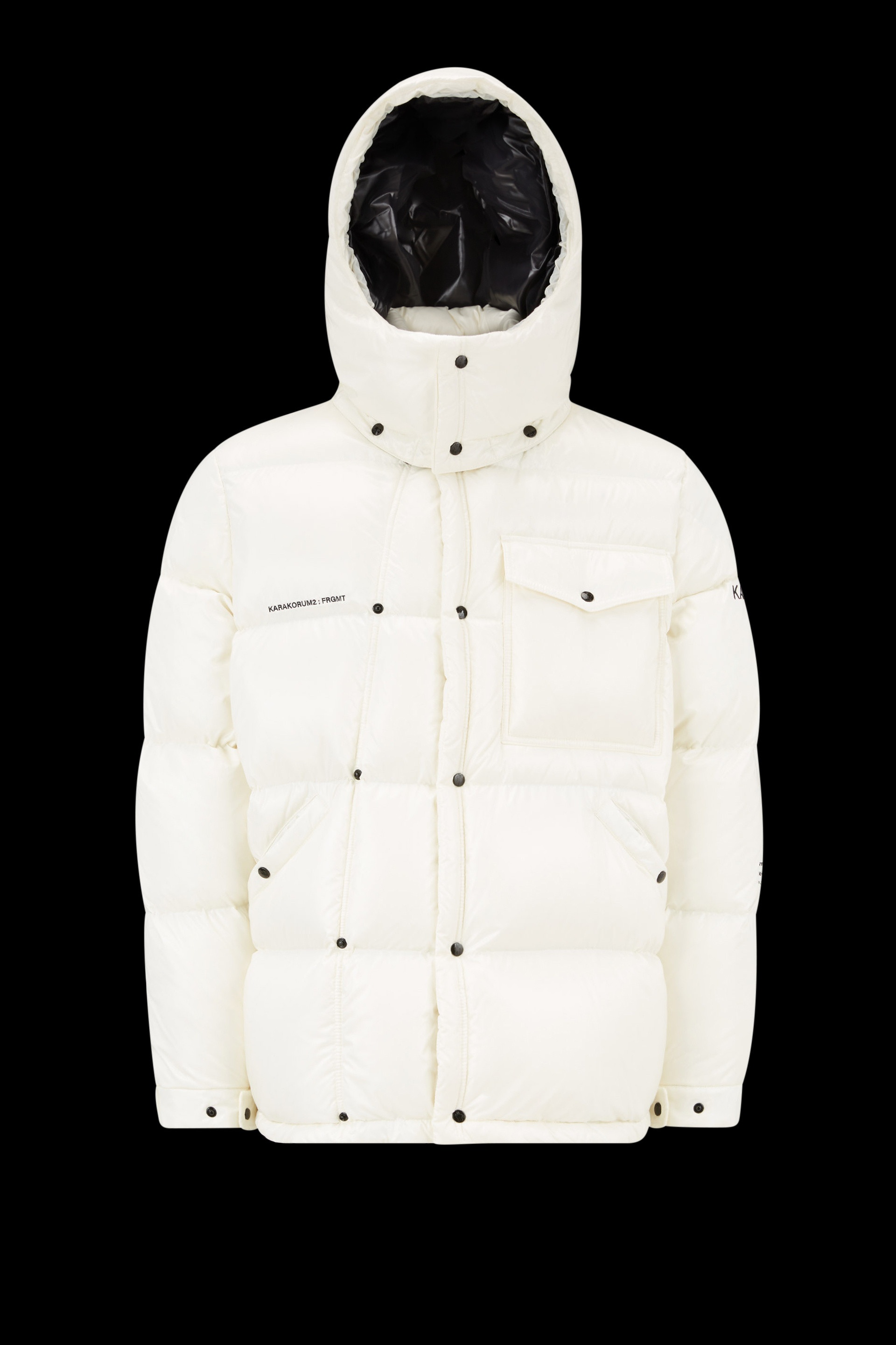 Anthemium Short Down Jacket - 1