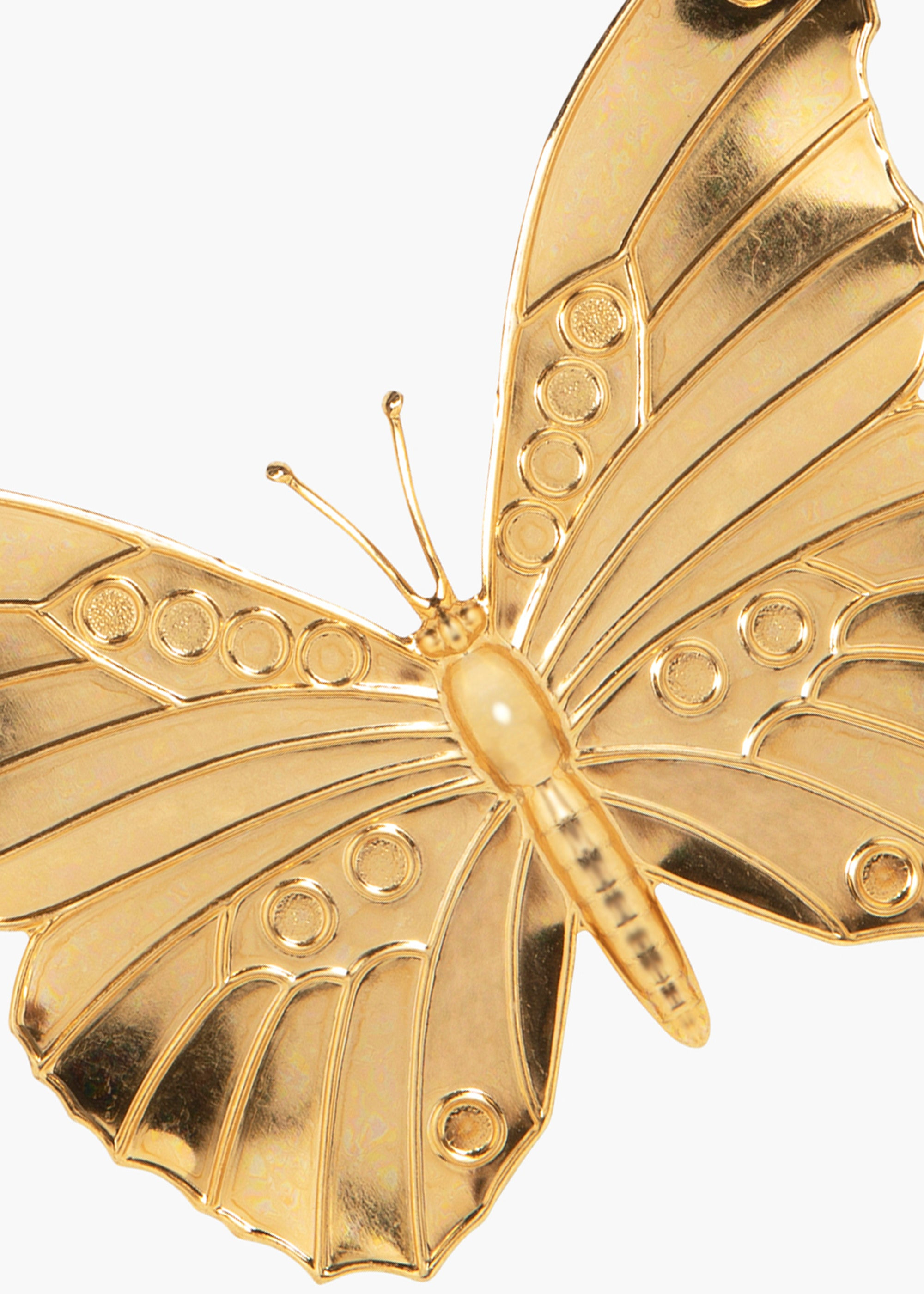 Caria Barrette - 6
