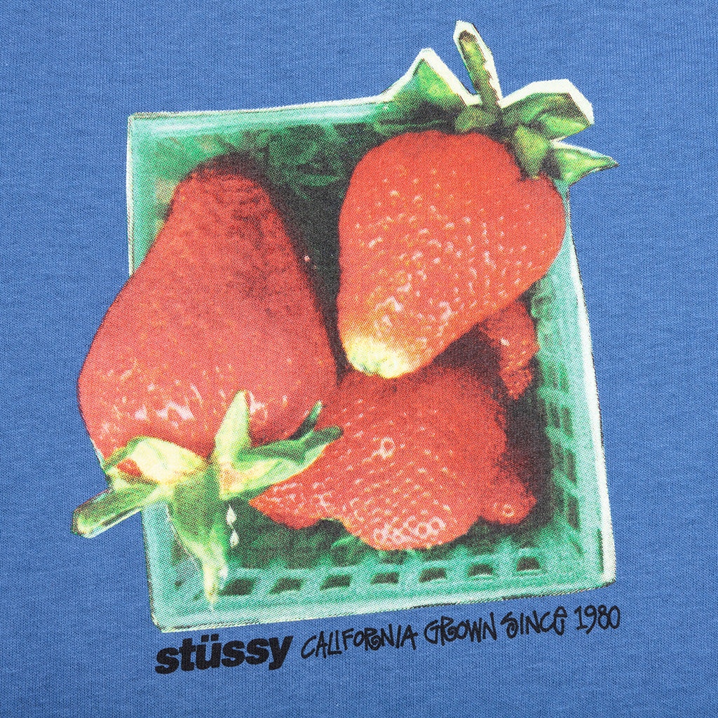 BERRIES TEE - BLUE - 3