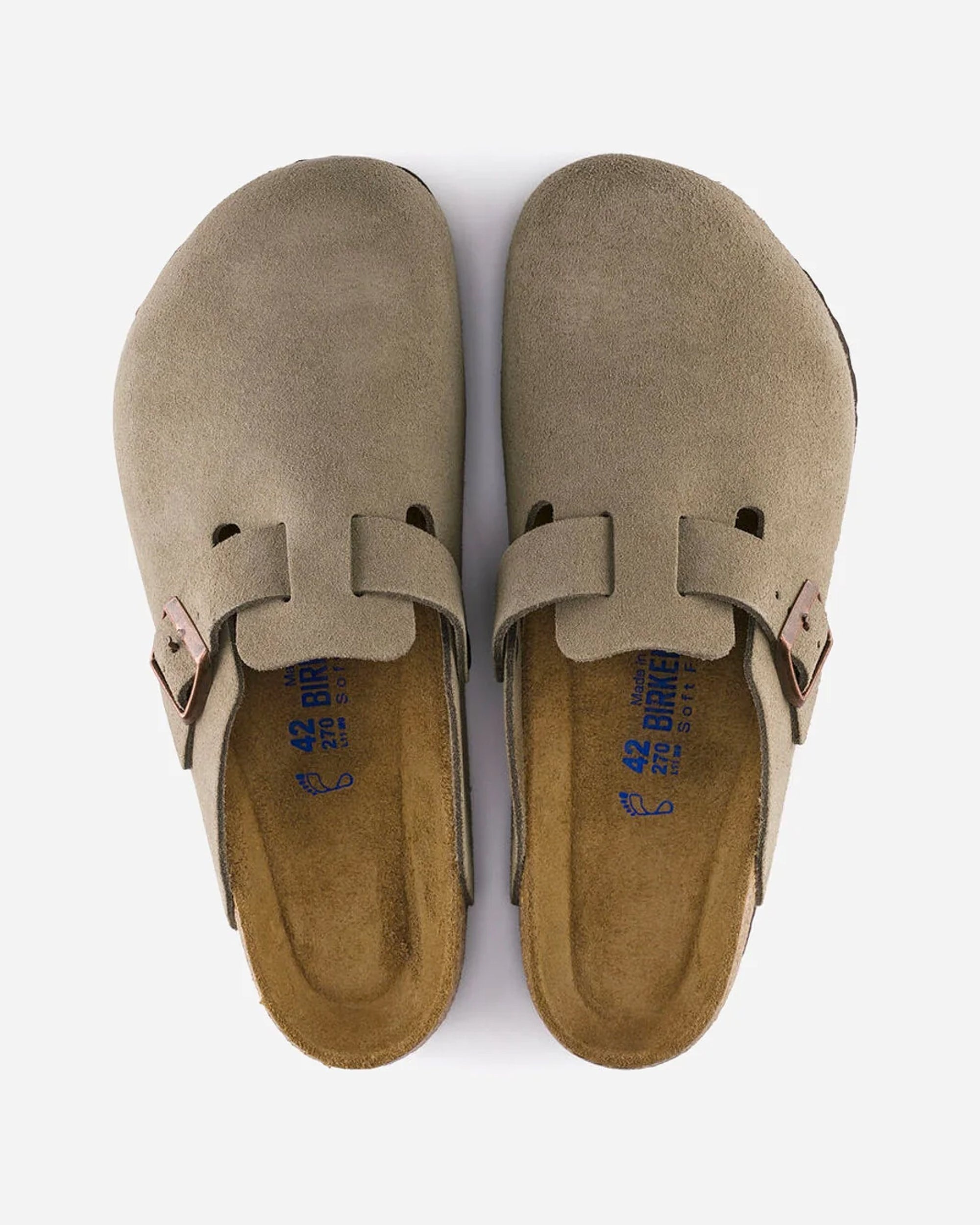 Boston SFB LEVE - 4