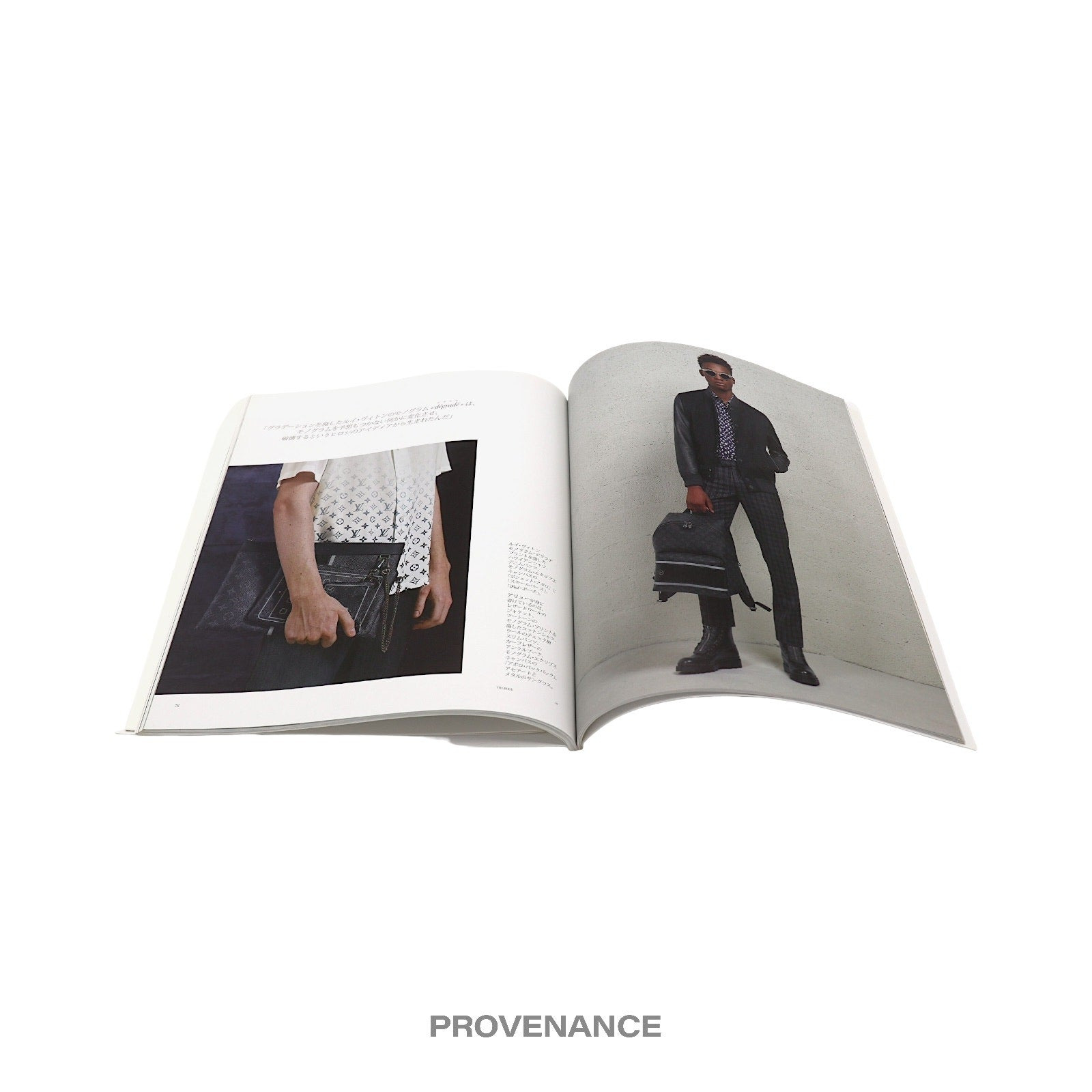 Louis Vuitton The Book #6 -  KOONS SUPREME - 11